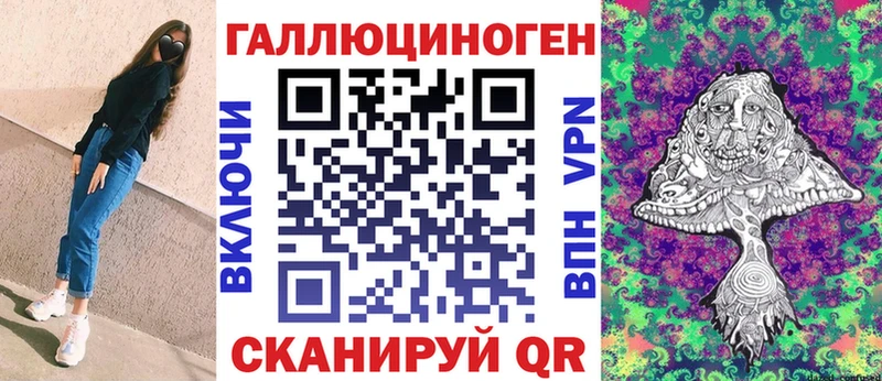 дарнет шоп Муром Псилоцибиновые грибы Psilocybe